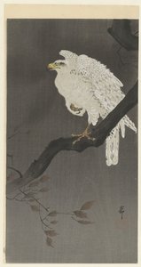 Lumikotka oksalla tekijältä Ohara Koson