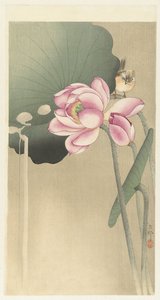 Songbird ja Lotus tekijältä Ohara Koson