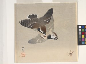 Sparrows Chasing Flying Insect (värillinen puupalikkaprintti) tekijältä Ohara Koson