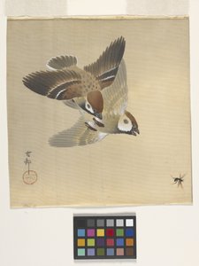 Lentäviä hyönteisiä jahtaavat varpuset (muste ja väri silkillä) tekijältä Ohara Koson