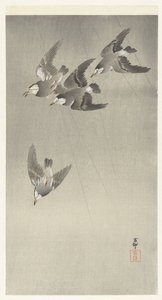 Kottarainen sateessa tekijältä Ohara Koson