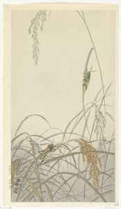 Heinäsirkat riisikasveilla tekijältä Ohara Koson