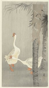 Tamme sateessa tekijältä Ohara Koson
