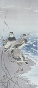 Kolme hiekkapiippua veden äärellä kaislikoiden edessä (värillinen puupainatus) tekijältä Ohara Koson