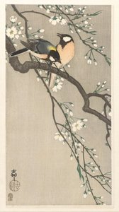 Tissit Cherry Branchissa tekijältä Ohara Koson