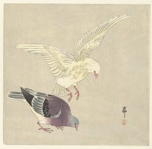 Kaksi kyyhkystä tekijältä Ohara Koson