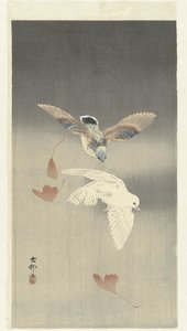 Kaksi kyyhkysiä putoavilla ginkgo-lehdillä tekijältä Ohara Koson