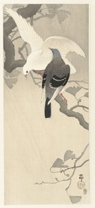 Kaksi kyyhkystä oksalla tekijältä Ohara Koson