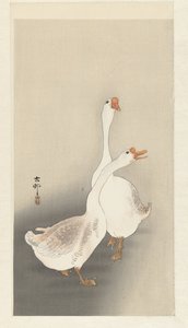 Kaksi kokonaista tekijältä Ohara Koson