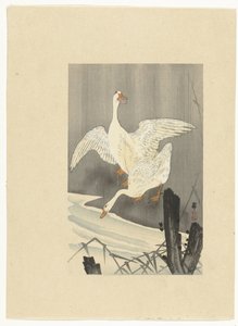 Kaksi hanhia joen rannalla tekijältä Ohara Koson