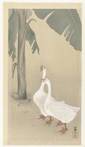 Kaksi hanhia banaanipuussa tekijältä Ohara Koson
