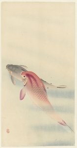 Kaksi karppia tekijältä Ohara Koson
