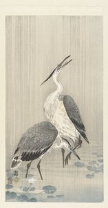 Kaksi haikaroita sateessa tekijältä Ohara Koson