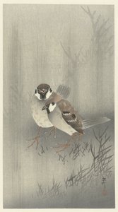Kaksi sormusvarpusta sateessa tekijältä Ohara Koson