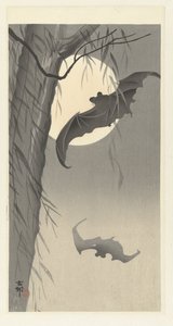 Kaksi lepakkaa täysikuussa tekijältä Ohara Koson