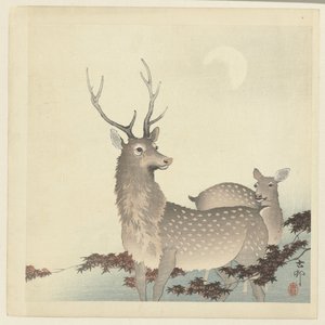 Kaksi peuraa tekijältä Ohara Koson
