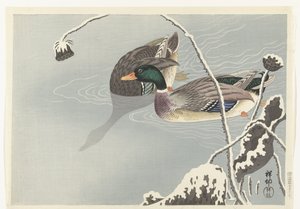 Kaksi sinisorsaa lumen peittämän lootuksen lähellä tekijältä Ohara Koson