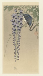 Perhosieppo wisteriassa tekijältä Ohara Koson