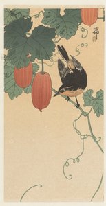 Lintu ja kaki tekijältä Ohara Koson