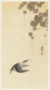 Lintu alaspäin lennossa tekijältä Ohara Koson