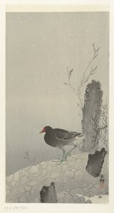 Waterhoen tekijältä Ohara Koson