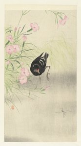 Moorhen kukkivassa kasvissa tekijältä Ohara Koson