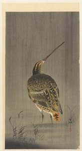 Snipe sateessa tekijältä Ohara Koson
