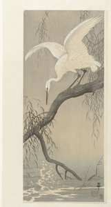 Valkoinen haikara puun oksalla tekijältä Ohara Koson