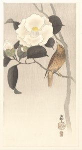 Laululintu ja kukkiva kamelia tekijältä Ohara Koson