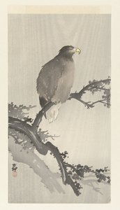 Kaljukotka oksalla tekijältä Ohara Koson