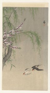 Pääskyset lennossa tekijältä Ohara Koson