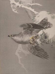 Hawk pitelee pientä lintua, n. 1891-92. tekijältä Okada Baison