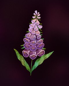 Tyylikäs violetti sormustinkukka
