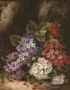 Asetelma Blossomin kanssa tekijältä Oliver Clare