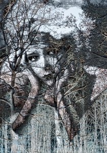 Talvinen muotokuva negatiivissa, 2021(digitaalinen sekatekniikka) tekijältä Olivia Gozzano