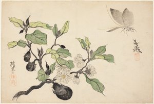 Munakoiso hedelmien ja kukkien kanssa tekijältä Onishi Chinnen