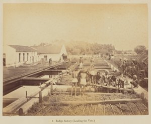 Indigotehdas (altaiden lastaus)