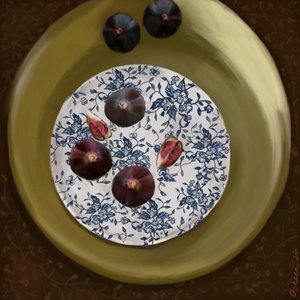  tekijältä Osheensgallery