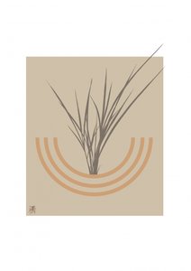 Minimalistinen kasvitieteellinen kaari
