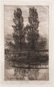 Poppelit, Royal Garden, Schleissheim, 1879. tekijältä Otto H. Bacher
