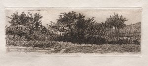 Katot ja puut, 1879. tekijältä Otto H. Bacher