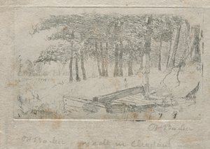 Luonnos luonnosta, 1879. tekijältä Otto H. Bacher