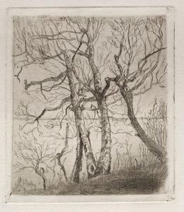 Woods by the Lake, 1878. tekijältä Otto H. Bacher