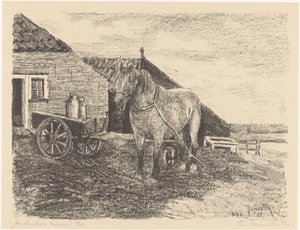 Ameland tamma (alkuperäinen nimi esineessä)