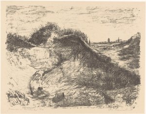 Dunes in Ameland (alkuperäinen nimi esineessä)