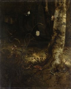 Metsän lattia käärmeen kanssa tekijältä Otto Marseus van Schrieck