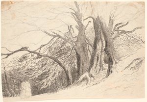 Bluff suurilla puilla metsässä, kahden kävelevän naisen kanssa. tekijältä P.C. Skovgaard