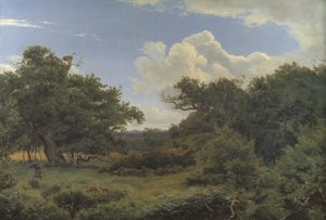 Oak Trees Nordskovenissa lähellä Jægersprisiä, Seelannissa tekijältä P.C. Skovgaard