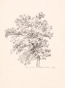 Puu Fredensborgissa tekijältä P.C. Skovgaard