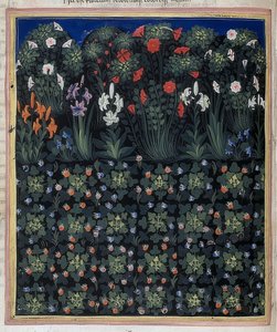 Puutarha (kirjoittaja: Regia Carmina, Convenevole da Prato). Noin 1335